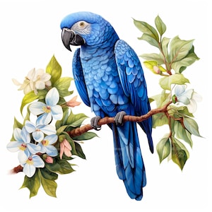 10 Conjunto de imágenes prediseñadas de loro guacamayo jacinto, imágenes prediseñadas de aves de la jungla tropical, ilustraciones de la naturaleza, impresiones artísticas de pared para amantes de las aves, diseño de póster