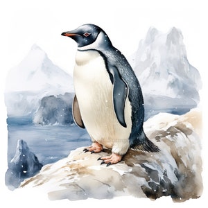 Ensemble de 10 cliparts pingouin, aquarelles numériques, illustrations pour amateurs d'oiseaux, images d'animaux de l'Arctique, ensemble de cliparts nature et faune
