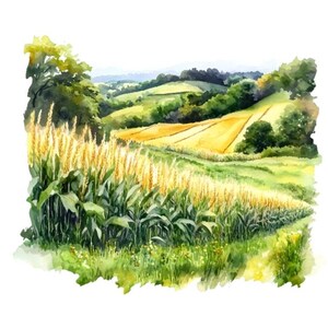 Set di 10 clipart di paesaggi di campi di mais, pittura ad acquerello digitale, illustrazione di raccolto dorato, grafica di prati di grano, clipart di terreni agricoli