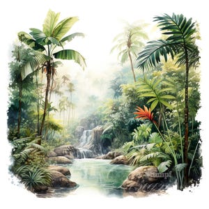 10 set di clipart della giungla, pittura ad acquerello digitale, illustrazione del paesaggio della foresta pluviale, piante tropicali, foresta esotica, fauna selvatica, clip art, bundle