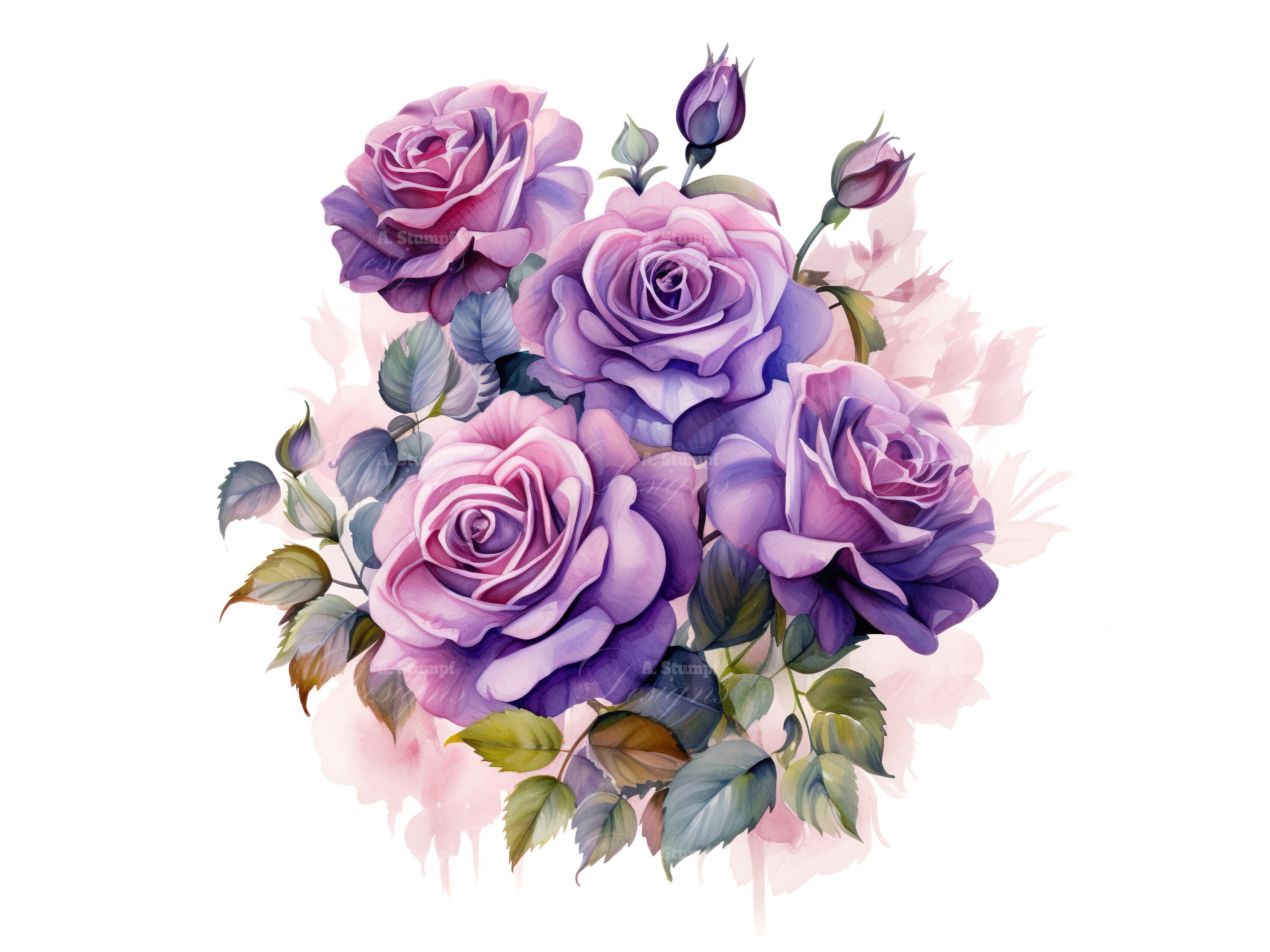 Purple Roses Clipart Set Watercolor Flowers Bundle Invitations and ...