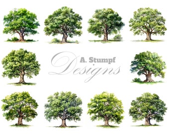 Eiche Baum Clipart Briefpapier Design Grußkarten Digital Scrapbooking Aquarell Clip Art Digitales Handwerk Scrapbooking druckbare Wandkunst