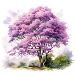 10 imágenes prediseñadas de árboles lilas, pintura de acuarela digital, ilustración de flores de primavera, gráficos florales, imágenes prediseñadas de flores moradas, diseño botánico
