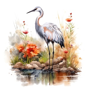 Conjunto de 10 imágenes prediseñadas de grullas salvajes, acuarela digital, ilustración de animales de río, gráficos de aves de humedales, paquete de imágenes prediseñadas de vida silvestre de pantanos