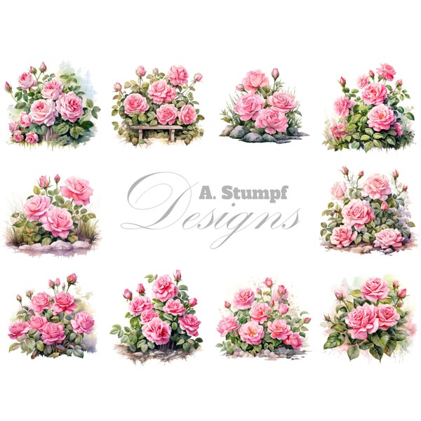 Pink Roses Clipart Set, Digital Watercolor Floral Art, Flower Graphic, Instant Download Image Bundle, Illustration for Poster, Background