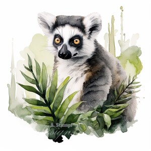 Lemur Clipart Set Aquarell Clip Art Bundle Safari Dschungel Tiere Print on Demand Safari Illustration Einladung Papier DIY Dekoration
