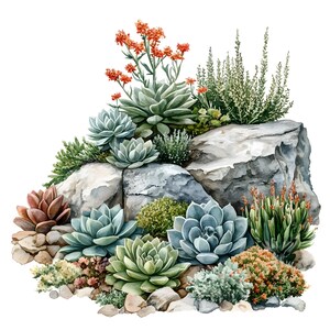 10 suculentas rocky garden clipart conjunto pintura aquarela digital ilustração de cacto botânico rústico plantas do deserto decoração clip art pacote