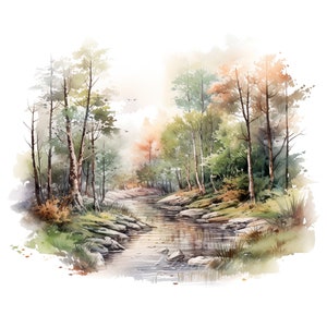 Conjunto de 10 imágenes prediseñadas de paisaje de bosque aluvial de llanura aluvial, acuarela digital, pintura de humedales, ilustración de la naturaleza, decoración de arroyos y bosques.