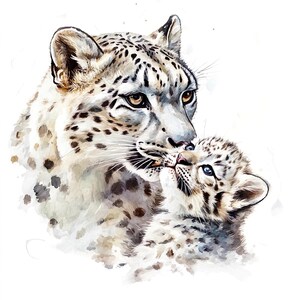 10 Snow Leopard Mutter Mit Ihrem Baby Clipart Set Digital Aquarell Malerei Verschneite Wildkatze Illustration Tier Familie Clip Art Bundle
