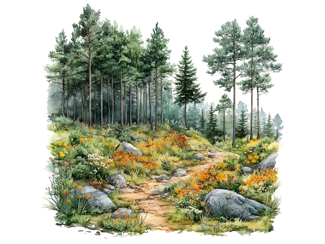 10-woodland-landscape-clipart-set-digital-watercolor-painting-forest