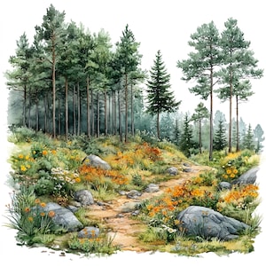 Wald Landschaft Clipart Set Digitale Aquarell Malerei Wald Szene Illustration Wilde Laub Grafiken Natur Flucht Clip Art Bundle