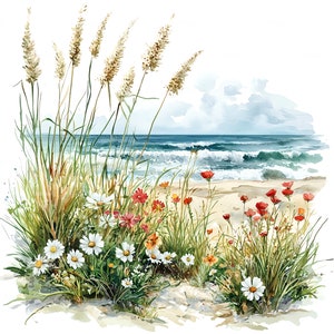 10 cliparts plage herbe et fleurs sauvages, aquarelle numérique, Illustration côtière, clipart botanique ensemble, graphiques flore de la plage