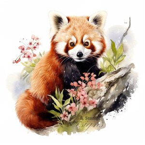 10 Roter Panda Clipart Set Digitale Aquarell Malerei Bambus Wald Asiatische Tier Illustration Wald Wildtiere Natur Szene Clip Art Bundle