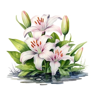 10 fleurs de lys lys aquarelle Clipart impression d'Art floral Illustration botanique jardin Clip Art peinture numérique élégant ensemble de fleurs