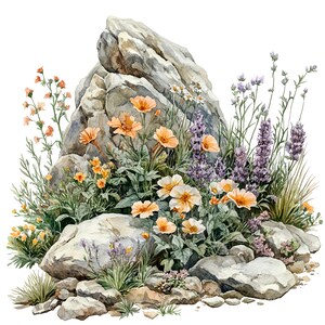 10 Rocky Garden com várias flores clipart aquarela digital flores silvestres pintura natureza ilustração cena floral rústica clip art pacote