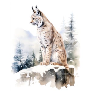 Conjunto de 10 imágenes prediseñadas de lince, pintura digital con acuarela, ilustración de animales del bosque, naturaleza, gráficos de vida silvestre, bosque invernal, paquete de imágenes prediseñadas de gato salvaje