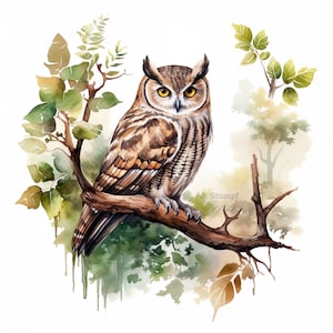 Conjunto de 10 imágenes prediseñadas de búhos, pintura de acuarela digital, gráficos de aves de bosque rústico, ilustración de vida silvestre, retrato de animales del bosque, paquete de imágenes prediseñadas