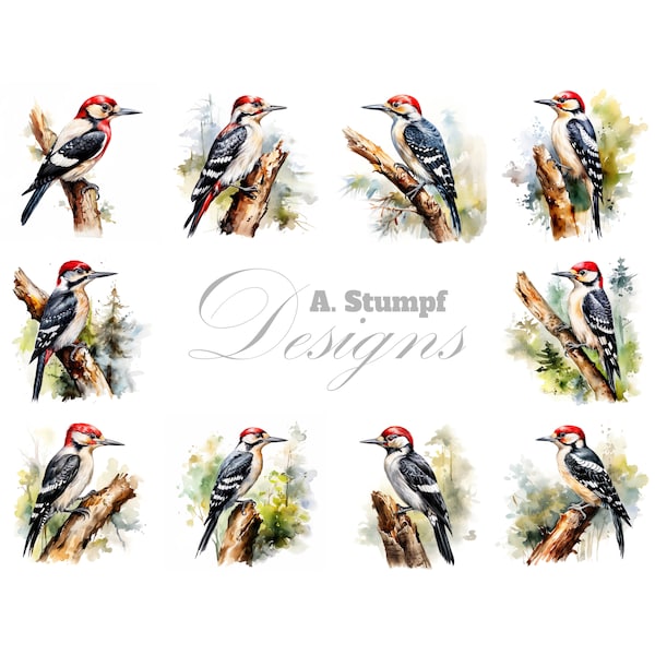 Woodpecker Bird Clipart Set, Bird Lover Gift, Birdwatcher and Birders, Art Print, Poster, Original Bird Art Illustration, Home Decor