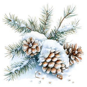 10 pigne innevate Clipart Acquerello Illustrazioni invernali Decorazioni per alberi di Natale Clip Art Grafica stagionale Immagini di decorazioni invernali rustiche