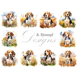 Clipart de Beagle - 10 JPG de alta calidad - Descarga digital - Creación de tarjetas, imágenes prediseñadas, manualidades digitales con papel