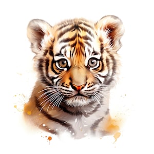Ensemble de 10 cliparts bébé tigre, peinture aquarelle numérique Illustration animale de la jungle chat sauvage graphique Safari Safari faune Clip Art Bundle