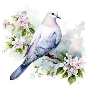 Ensemble de 10 cliparts nature été colombe peinture aquarelle numérique illustration oiseau de la paix fond floral mariage romantique Clip Art Bundle