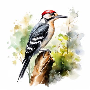 Juego de 10 imágenes prediseñadas de pájaros carpinteros, pintura de acuarela digital, ilustración de animales del bosque, vida silvestre acogedora, paquete de imágenes prediseñadas de escenas de bosques