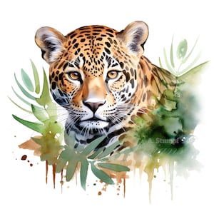 10 jaguares, gatos salvajes, conjunto de imágenes prediseñadas, ilustración de animales de la jungla, pintura de acuarela felina, gráficos de vida salvaje exótica, paquete de imágenes prediseñadas de safari tropical