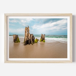 Mossy tree stumps ground on the beach Maui Hawaii Digital download photography print photo printable wall art home Decor poster ocean sand
