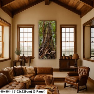 Massive ancient cedar tree with exposed roots and textured bark in a lush Pacific Northwest forest.