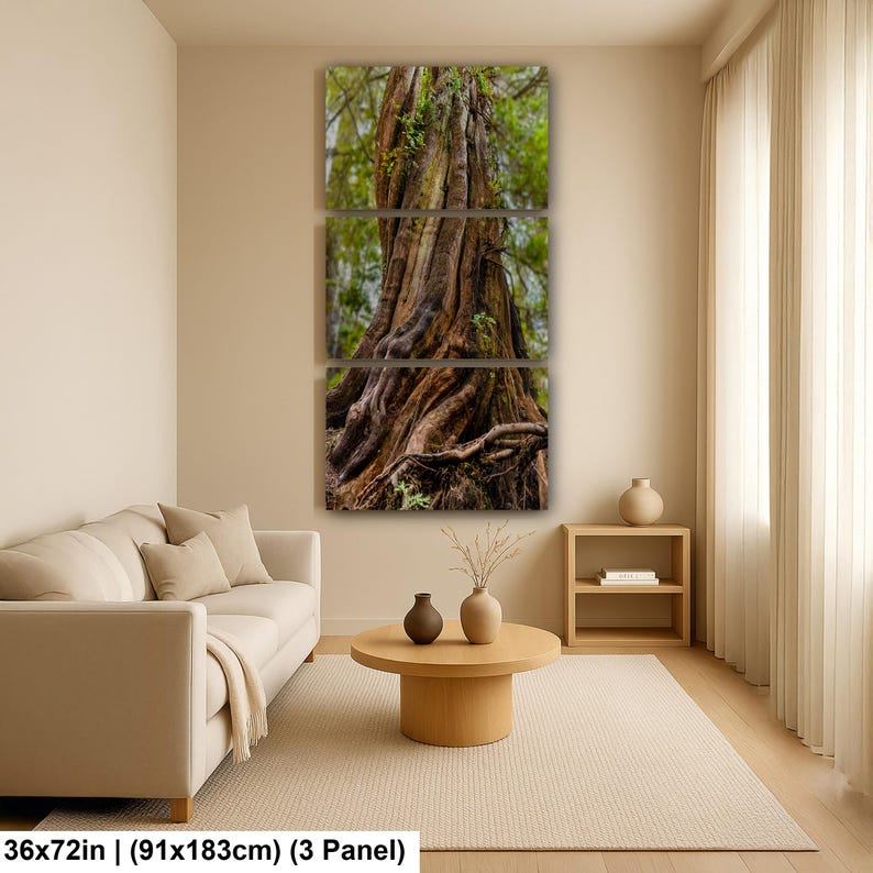 Massive ancient cedar tree with exposed roots and textured bark in a lush Pacific Northwest forest.