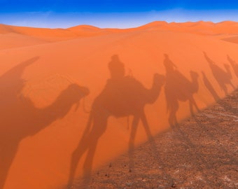 Camels Shadows on the Desert Dunes Morocco in the Merzouga Sahara Desert, Africa Wall Art, Moroccan Decor, Canvas Photography Print