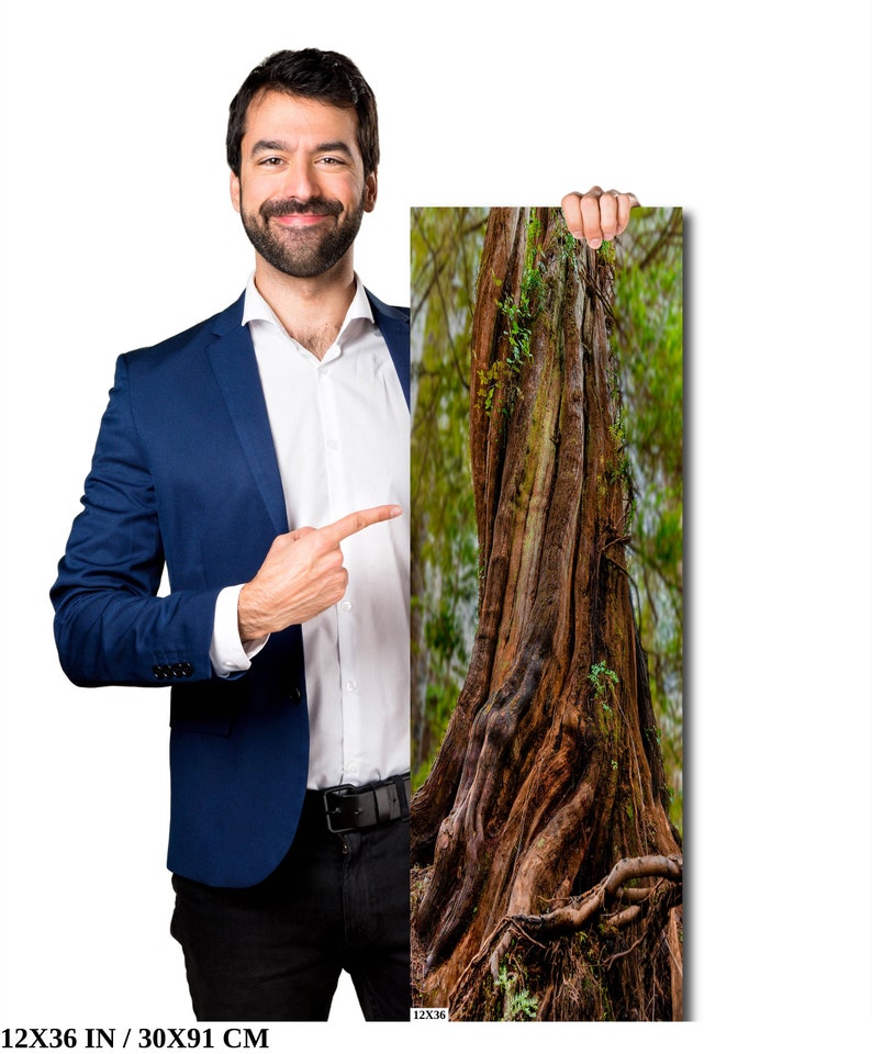 May include: A vertical print of a tree trunk, 12 x 36 inches, with rough, textured bark and exposed roots. The background shows green foliage. The print is held by a person wearing a blue blazer and black pants.