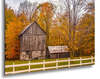 Rustic Barn in Autumn, Golden Fall Trees and White Fence, Nostalgic Country Wall Art Print - Paper & Canvas