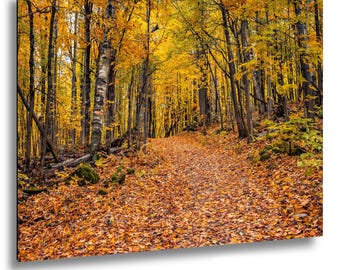 Autumn Forest Path, Golden Fall Foliage Landscape, Rustic Nature Decor Wall Art Print - Paper & Canvas