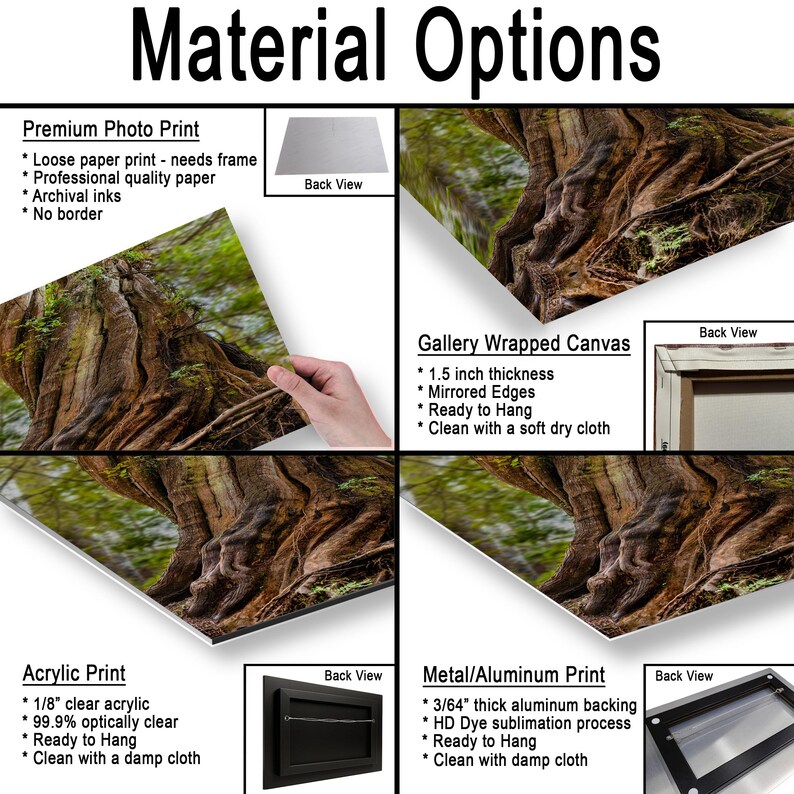 Available Material Options comparison image showing a towering ancient cedar tree with exposed roots surrounded by forest greenery.