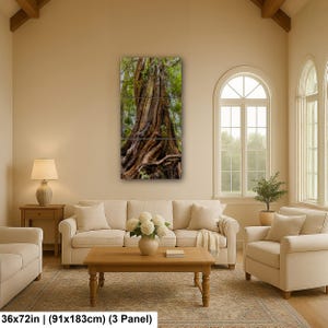 Massive ancient cedar tree with exposed roots and textured bark in a lush Pacific Northwest forest.