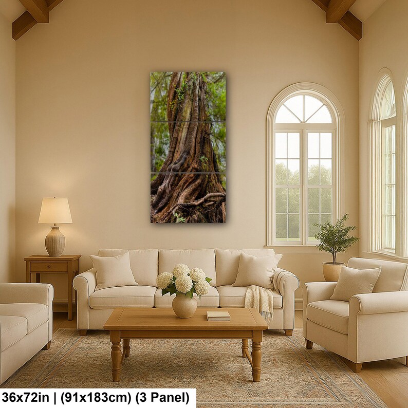 Massive ancient cedar tree with exposed roots and textured bark in a lush Pacific Northwest forest.