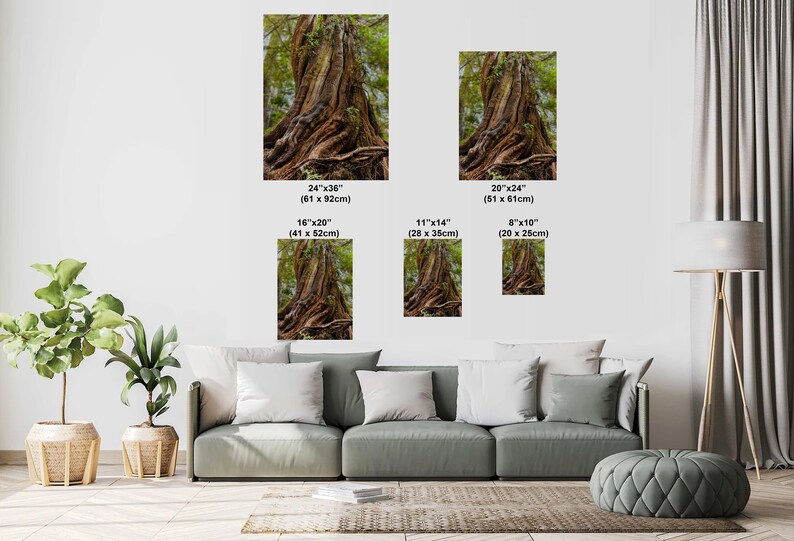 May include: Various sizes of framed art prints featuring a detailed image of a large tree trunk with exposed roots. The prints range from 8x10 inches to 24x36 inches. The tree's bark is a rich brown, and green foliage is visible.