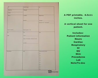 Nurse Notes, Nurse Brain, 1 Patient with to-dos