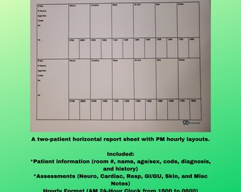 Two-patient horzontal report sheet with PM hourly layout