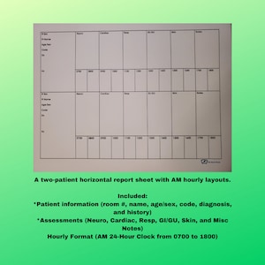 Two-patient horizontal report sheet with AM hourly layout