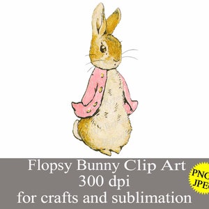 Flopsy Bunny, Pink Peter Rabbit PNG e JPEG clip art gráfico, chá de bebê festa de aniversário berçário sublimação digital imprimível adesivos decalque