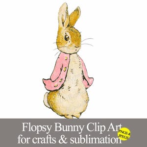 Flopsy Bunny, Pink Peter Rabbit PNG & JPEG clip art graphic, baby shower birthday party nursery sublimation digital printable stickers decal