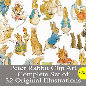 Peter Rabbit PNG clip art graphic for baby shower, birthday party, nursery, sublimation, digital printable stickers decals journal scrapbook