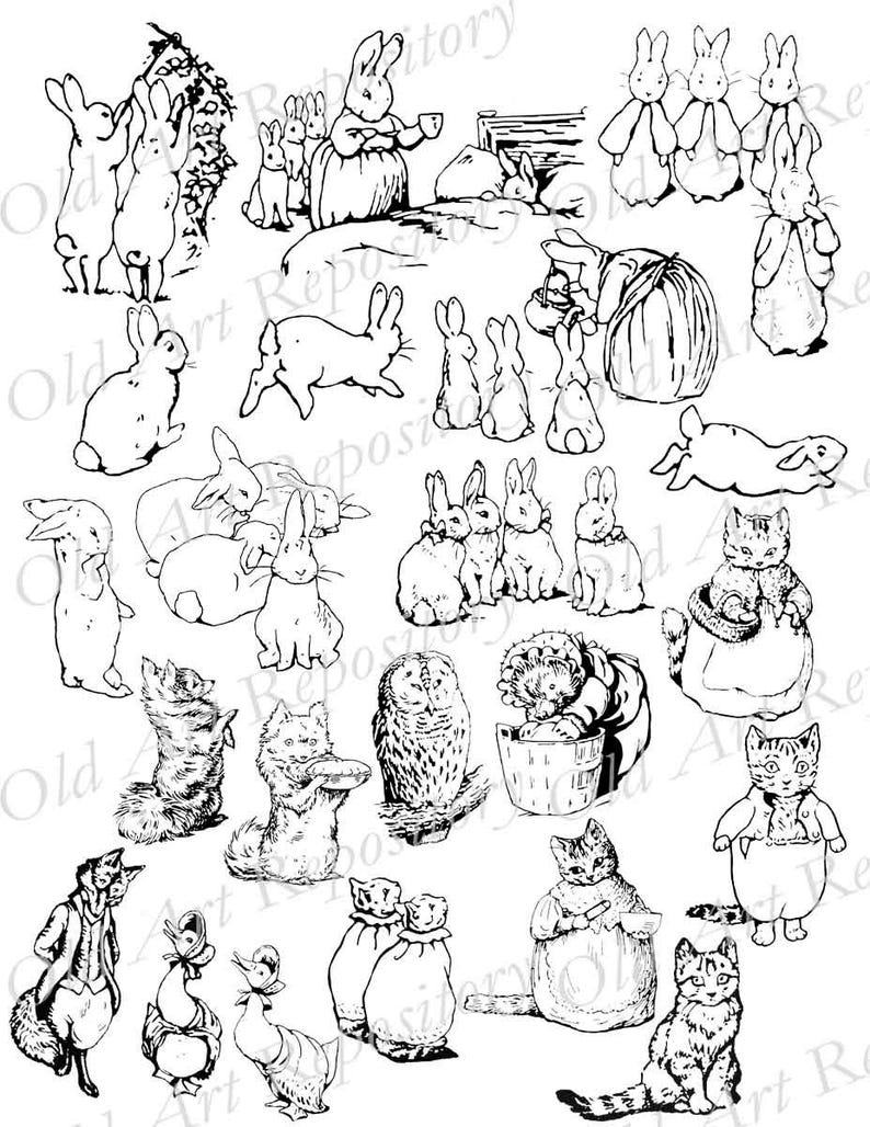 Peter Rabbit Clip Art PNG & SVG, Black and White Images for Baby Shower ...