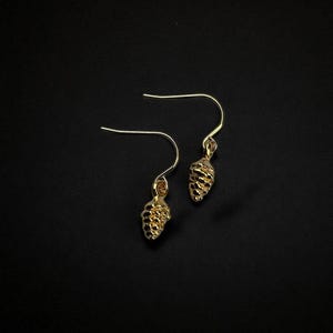 Può includere: Un paio di orecchini color oro con un design a forma di pigna. Gli orecchini hanno una chiusura a gancio e sono su uno sfondo nero. I ciondoli a forma di pigna hanno una superficie strutturata.