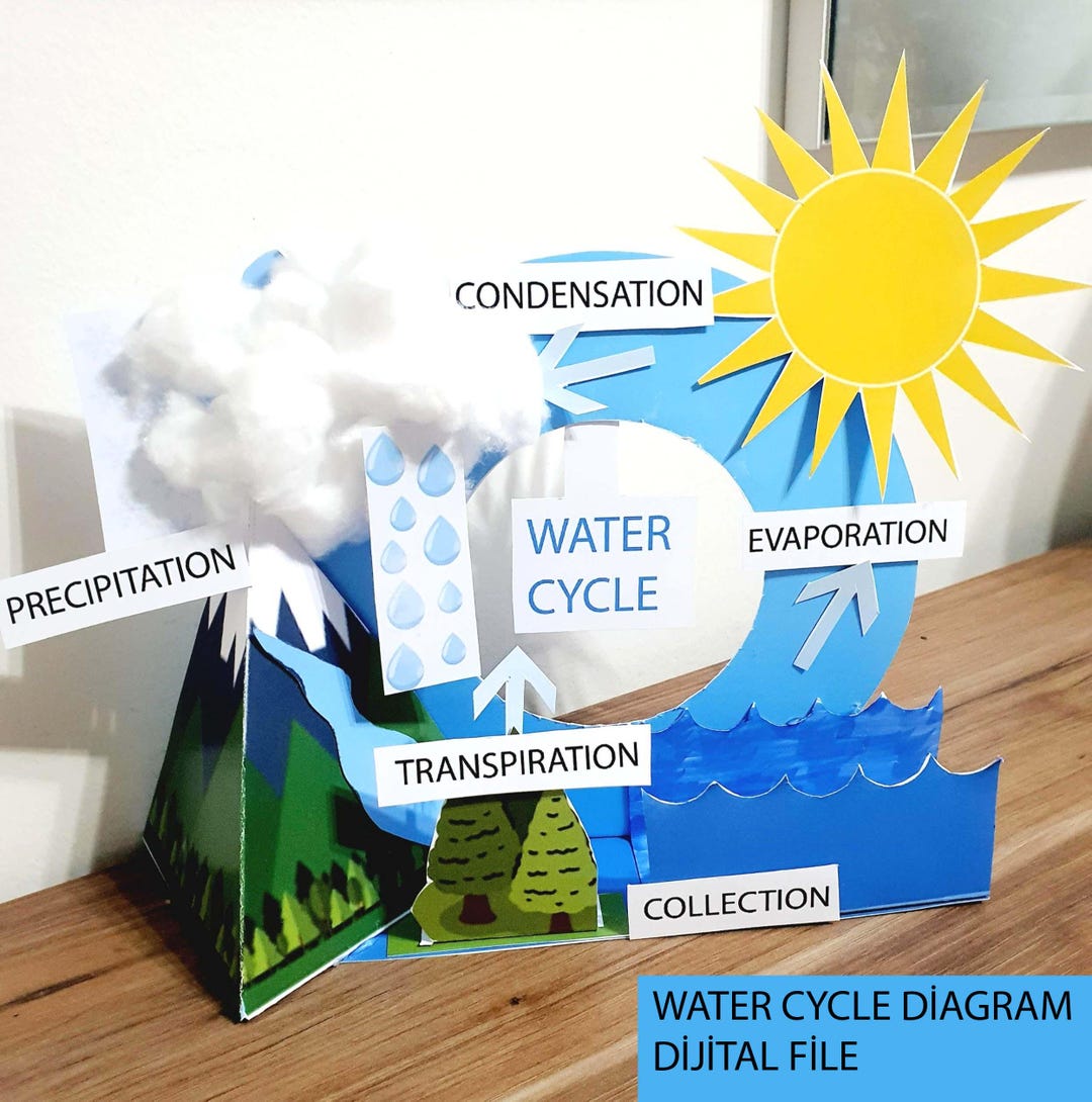 Printable Water Cycle Diagram:paper Craft Model Diorama Project for ...