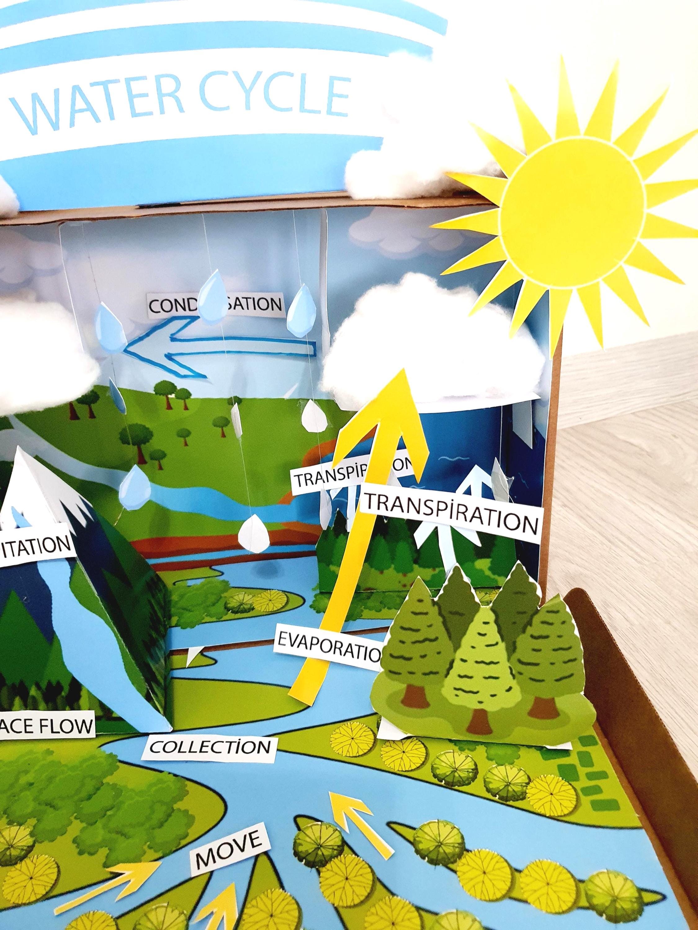 Printable Water Cycle Shoebox Diorama:project for Kids Digital File - Etsy