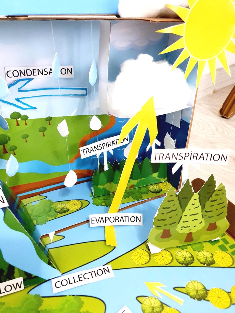Printable Water Cycle Shoebox Diorama:project for Kids Digital File - Etsy